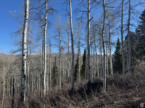 Tiny photo for 663 RED FIR WAY #663, Oakley, UT 84055 (MLS # 2084839)