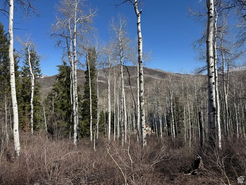 Tiny photo for 663 RED FIR WAY #663, Oakley, UT 84055 (MLS # 2084839)