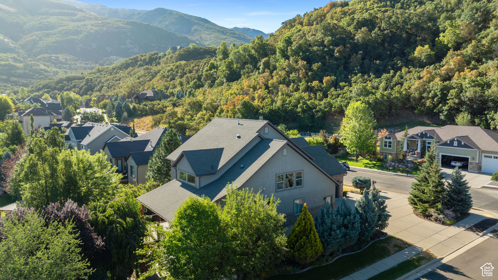 SILVER LEAF ESTATES - Residential