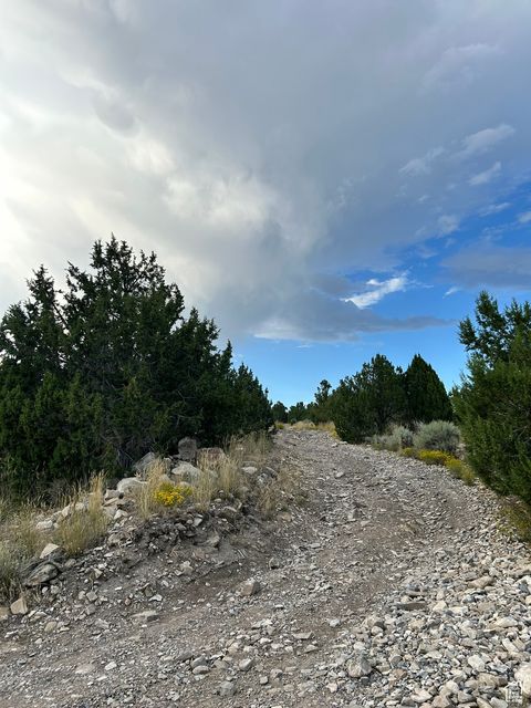 Tiny photo for Cedar Fort, UT 84013 (MLS # 2054194)