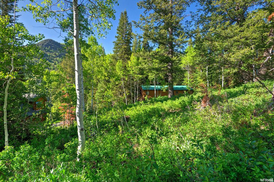 This Mount Haven lot is .31 acres of beautiful scenery.  Near Brighton and Solitude ski resorts but only a few miles from the valley for easy access to shopping, airport and schools.The magnificent mountain and valley views are priceless. This lot includes one water share. It's located in a gated community and is just two miles from Silver Fork Lodge. The lot has power available (but not connected). Water is available too. Gas is propane and sewer is septic. Build your dream home or cabin then hike, ski, watch wildlife, and commune with nature in Mount Haven. Low annual HOA of $550 per year.