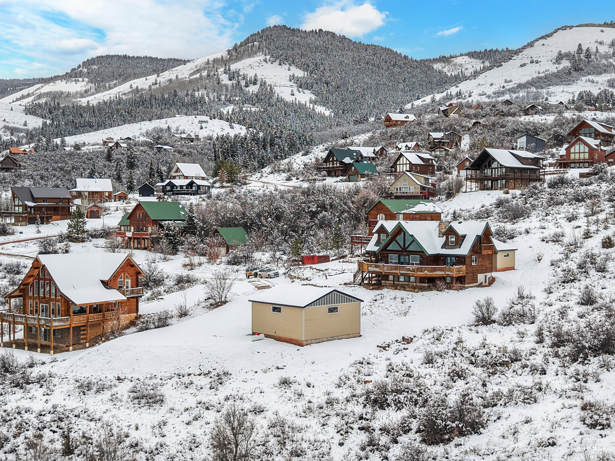 BLW POA - Residential