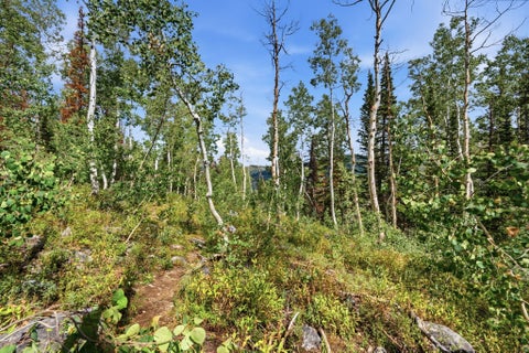 Tiny photo for 12290 E CAMP TUTTLE RD, Brighton, UT 84121 (MLS # 2183403)