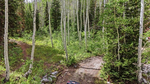 Tiny photo for 12290 E CAMP TUTTLE RD, Brighton, UT 84121 (MLS # 2183403)