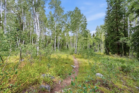 Tiny photo for 12290 E CAMP TUTTLE RD, Brighton, UT 84121 (MLS # 2183403)