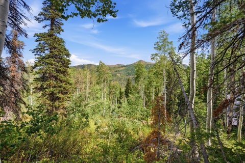Tiny photo for 12290 E CAMP TUTTLE RD, Brighton, UT 84121 (MLS # 2183403)
