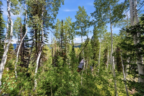 Tiny photo for 12290 E CAMP TUTTLE RD, Brighton, UT 84121 (MLS # 2183403)