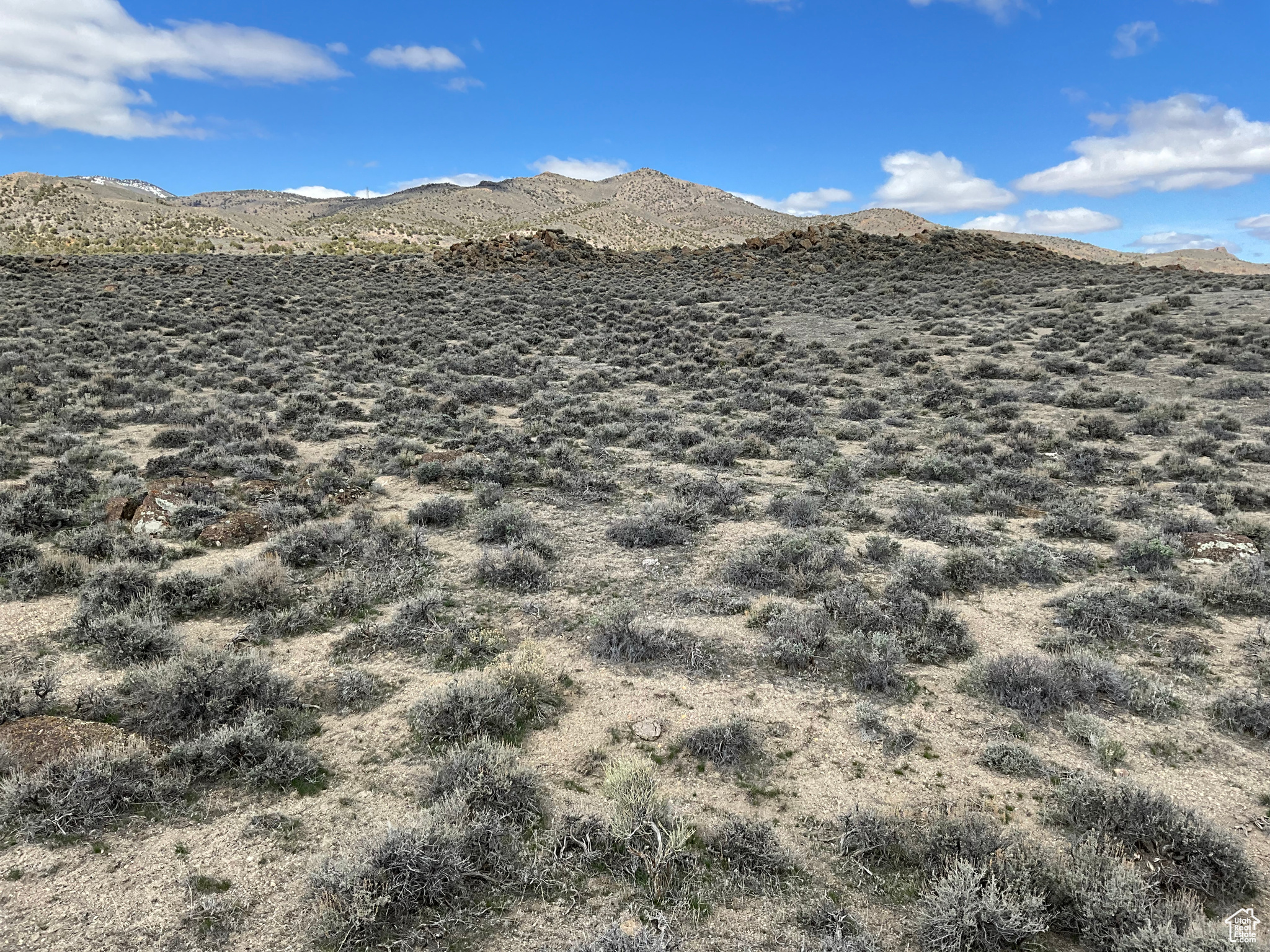 Land, Grouse Creek, Utah image 41