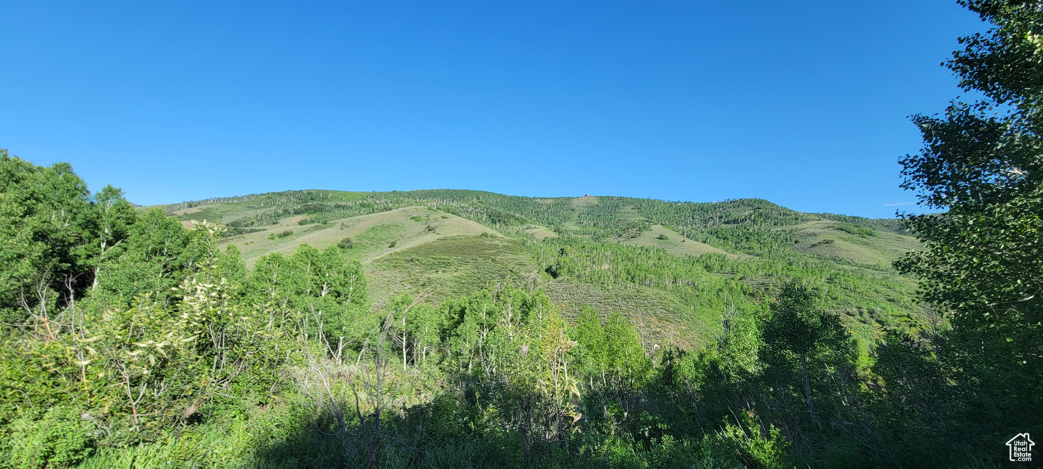 6621 N Middle Fork Dr #89, Huntsville, Utah image 11