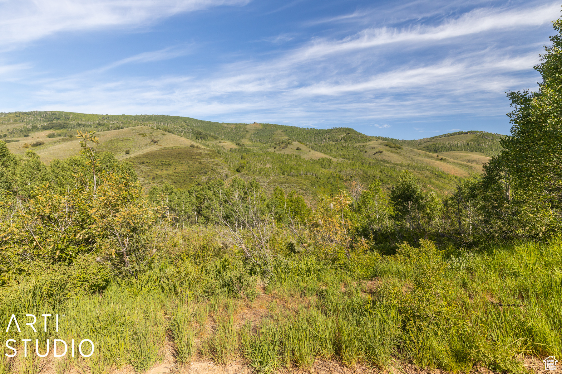 6621 N Middle Fork Dr #89, Huntsville, Utah image 25