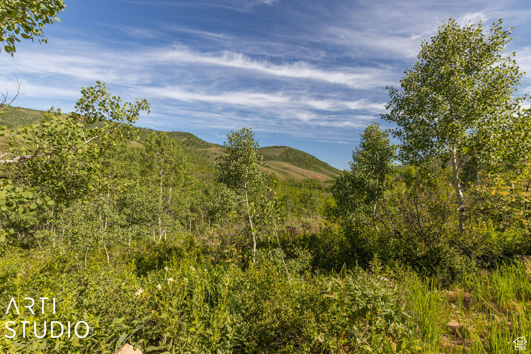 6621 N Middle Fork Dr #89, Huntsville, Utah image 27