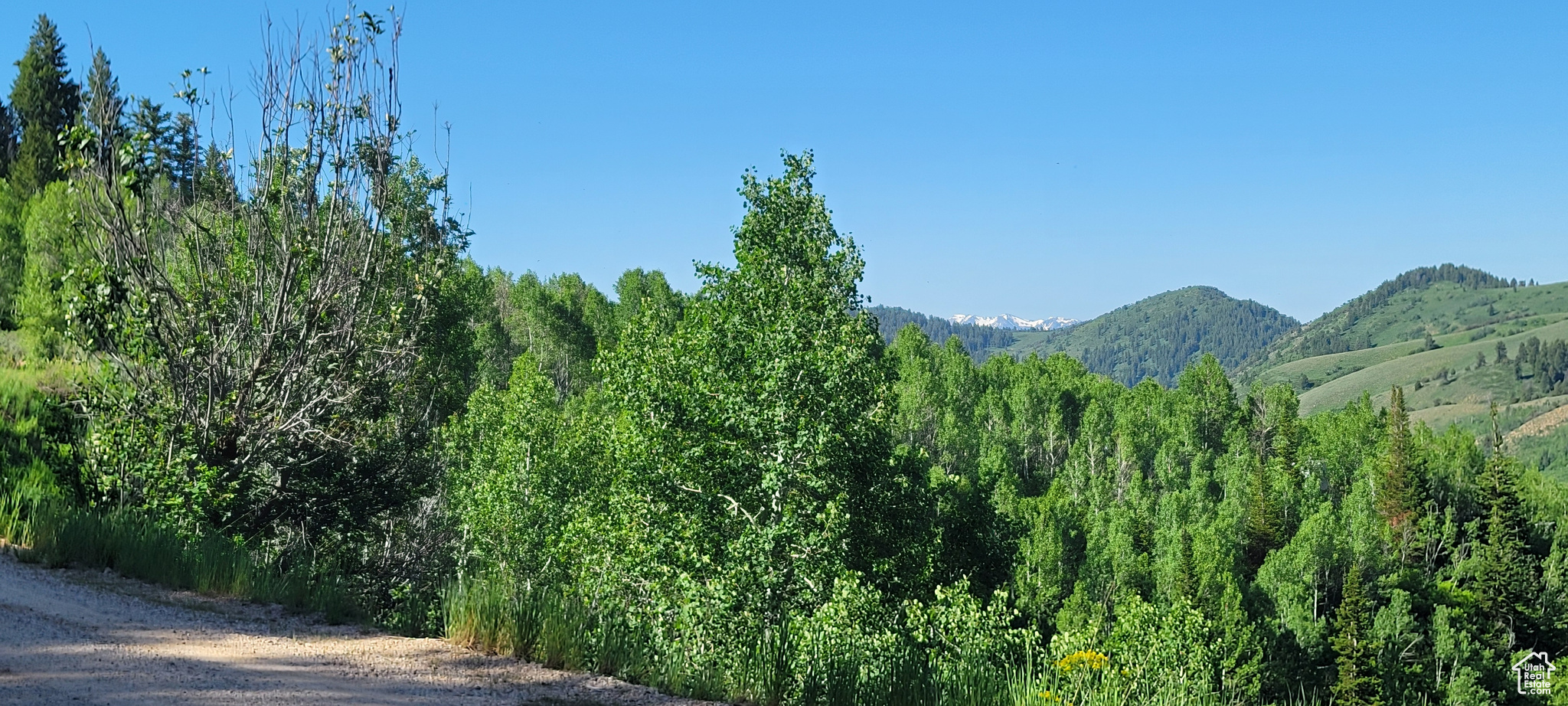 6621 N Middle Fork Dr #89, Huntsville, Utah image 2