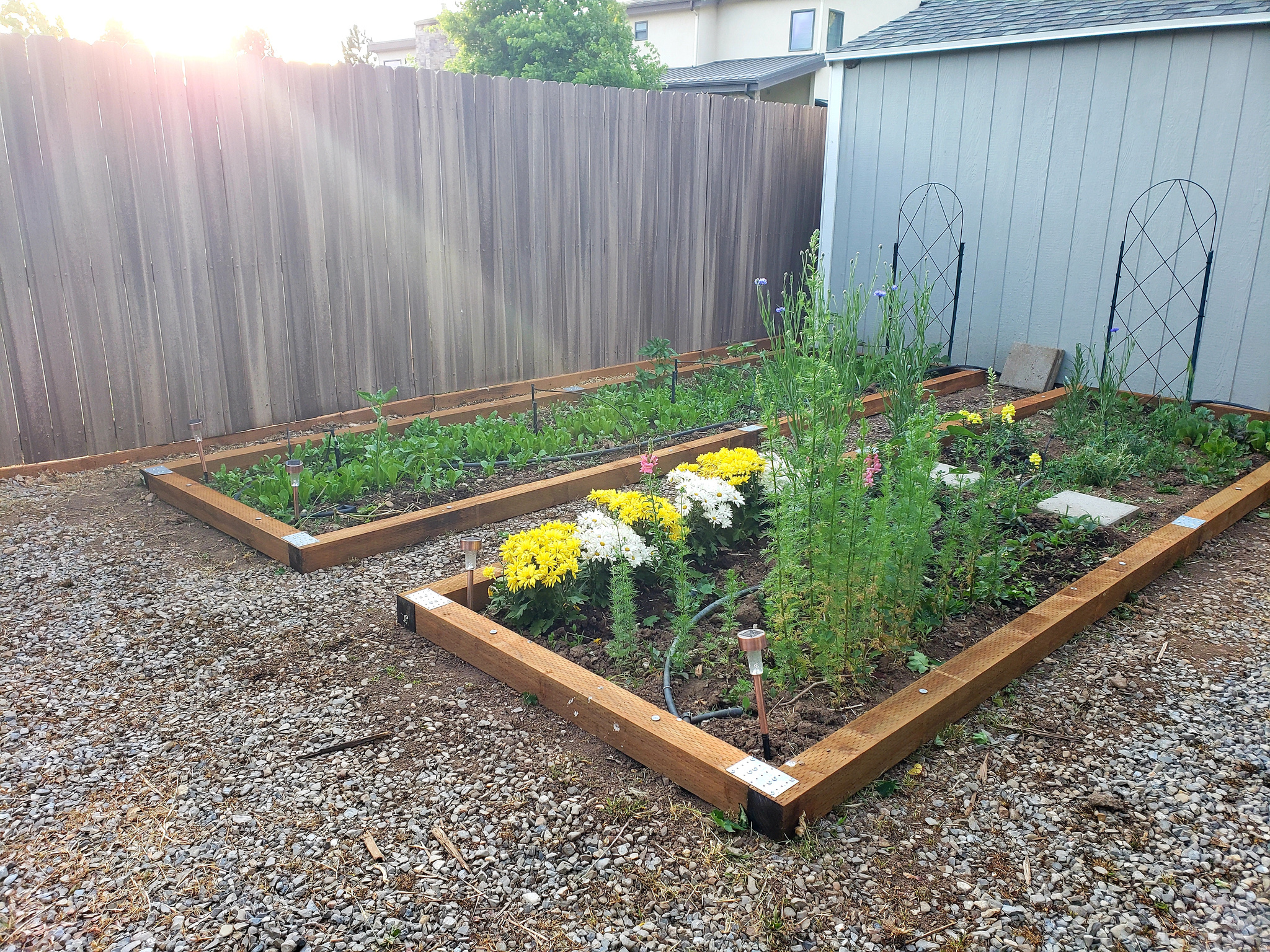 MAPLE MOUNTAIN VIEW PLAT A - Residential