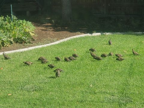 Tiny photo for 897 E 1200 N, Mapleton, UT 84664 (MLS # 2149526)