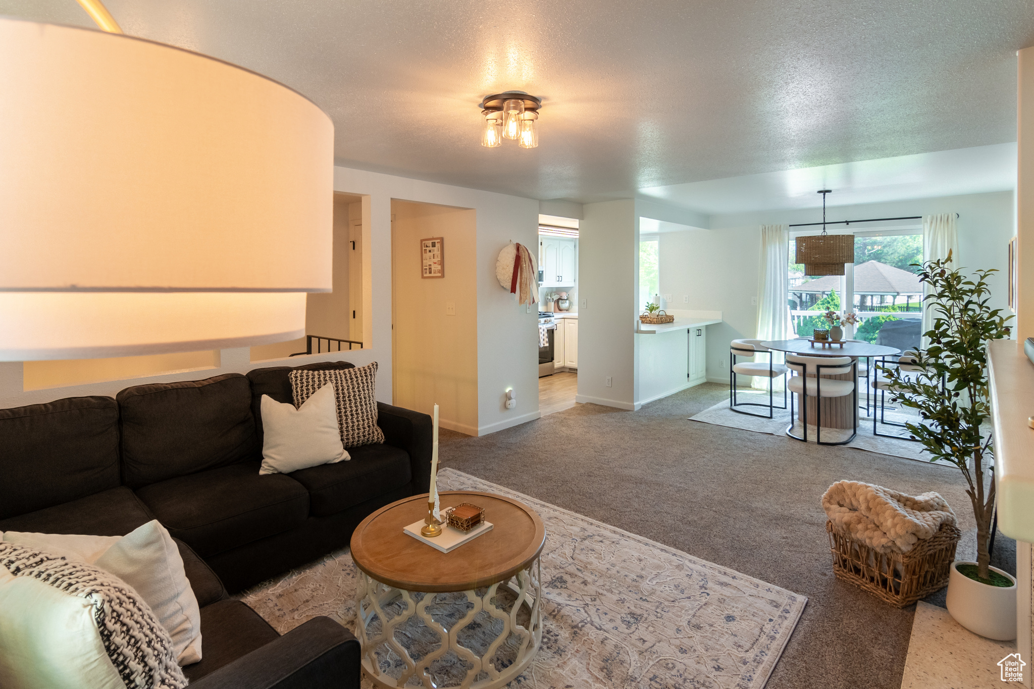 BARRINGTON PARK - Residential