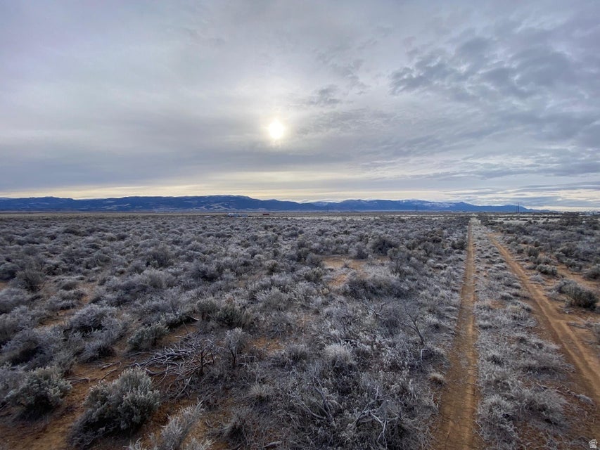 Expansive undeveloped land featuring natural shrubbery and a dirt track