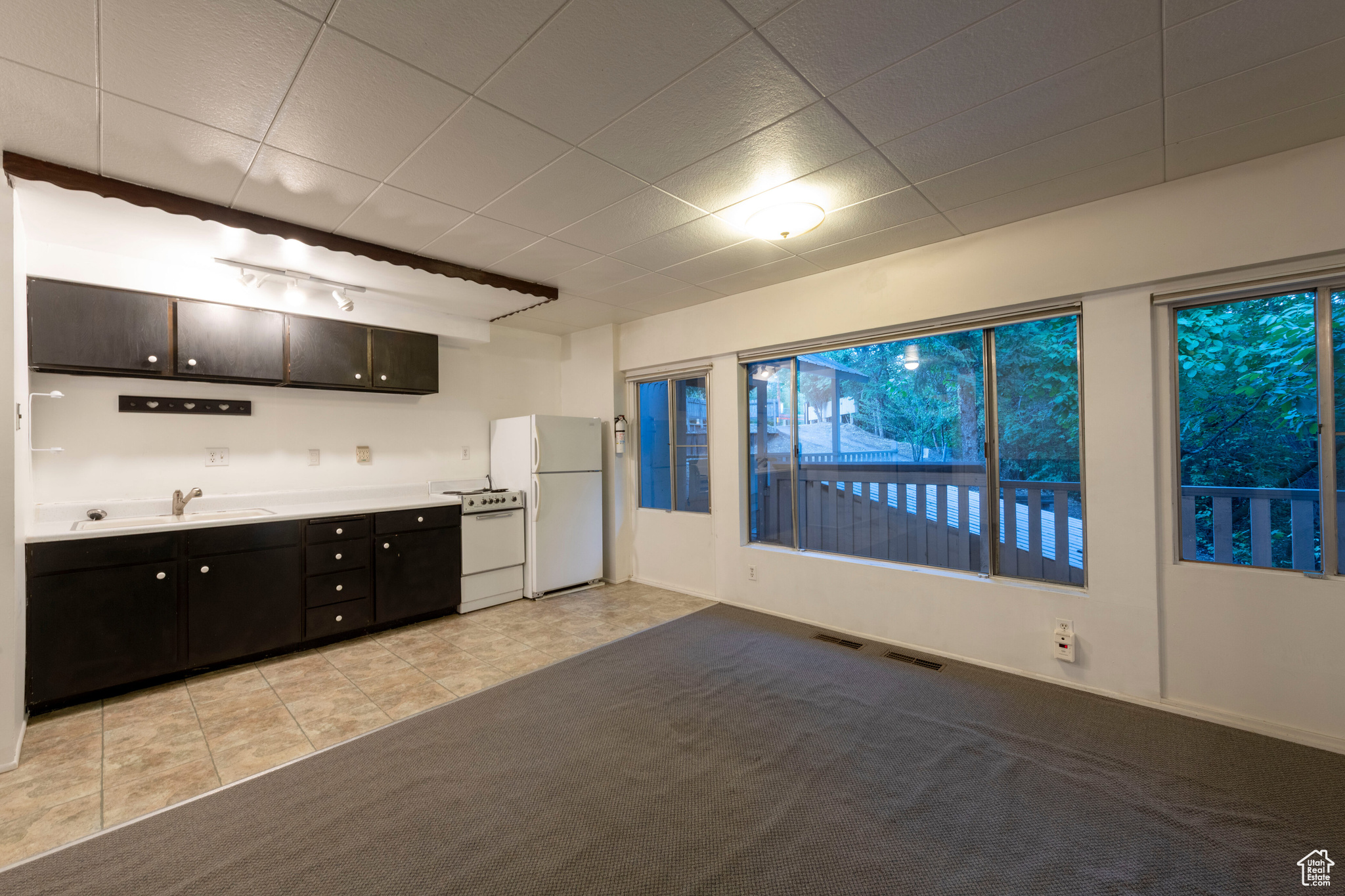 DOUGLAS PARK - Residential
