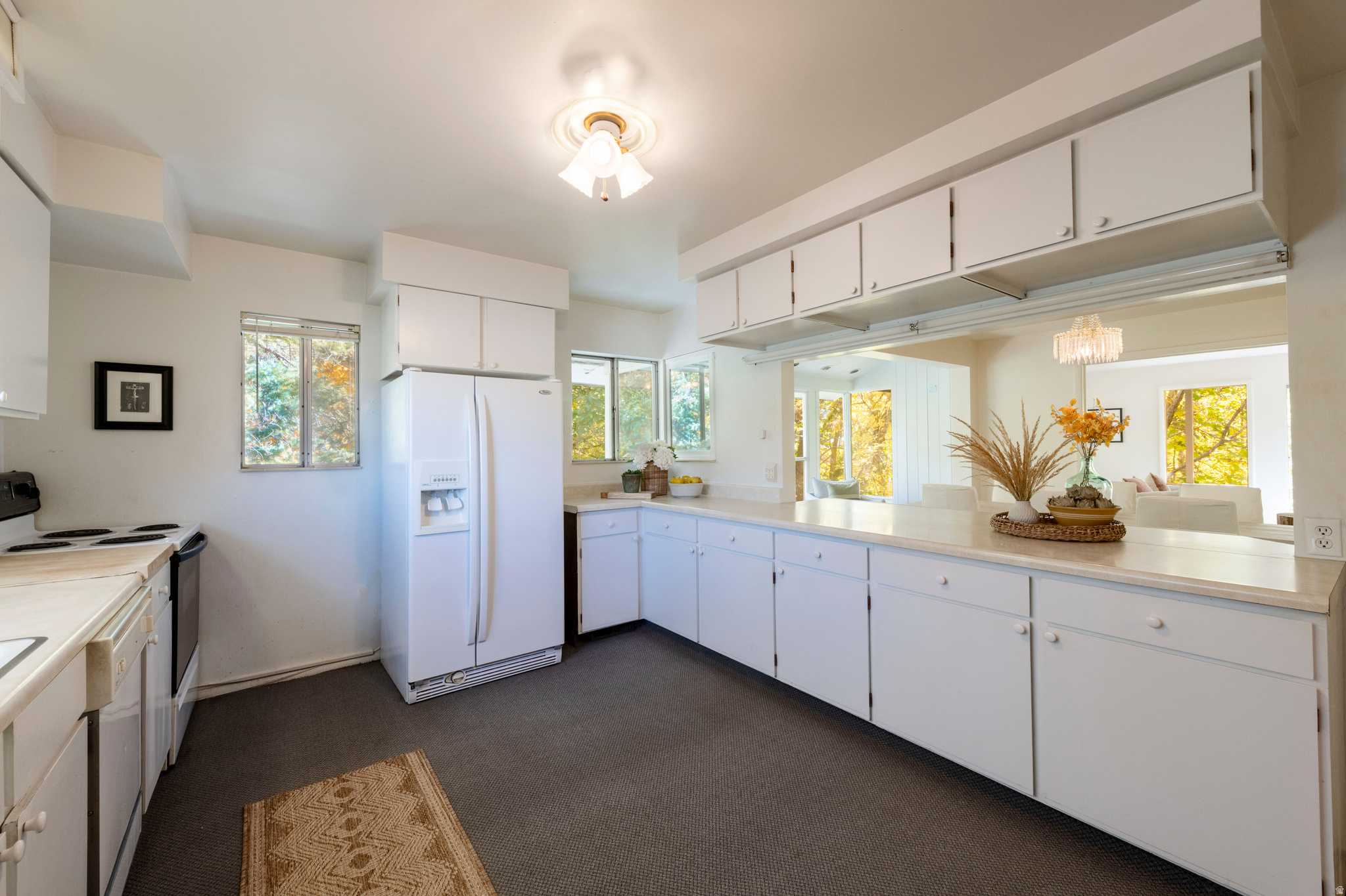 DOUGLAS PARK - Residential