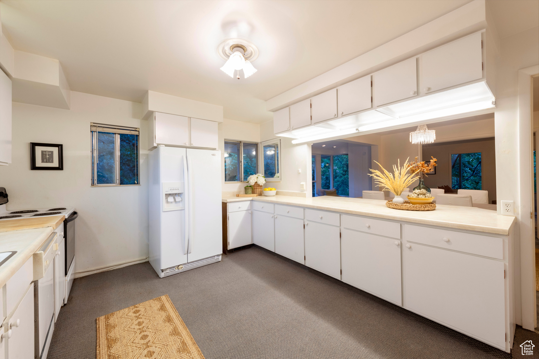 DOUGLAS PARK - Residential