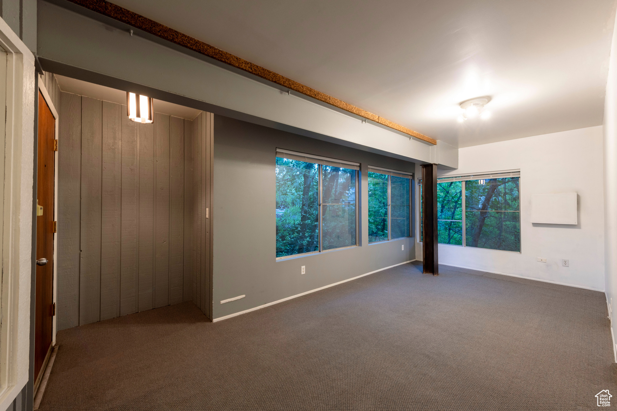 DOUGLAS PARK - Residential
