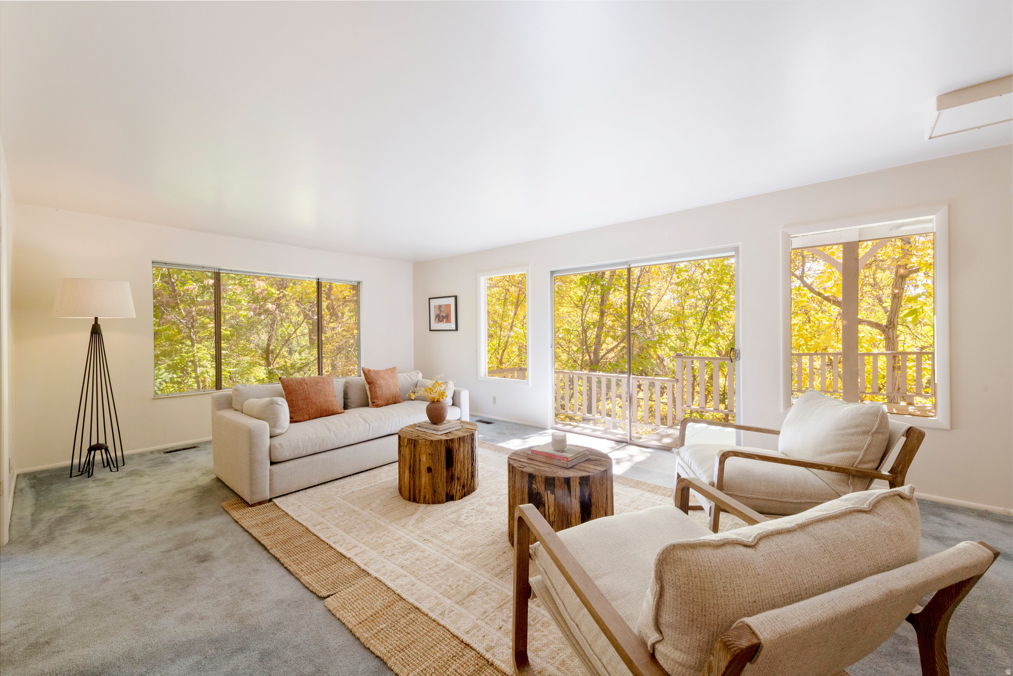 DOUGLAS PARK - Residential