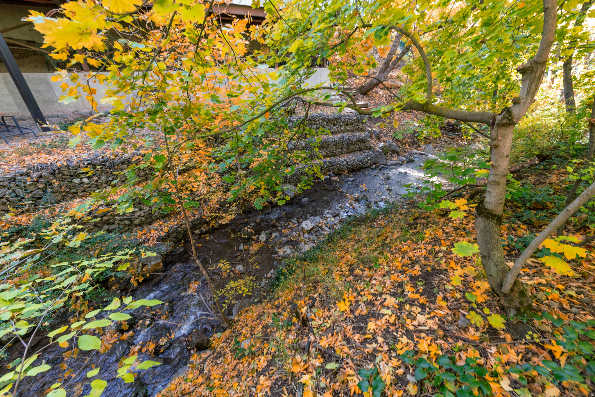 DOUGLAS PARK - Residential