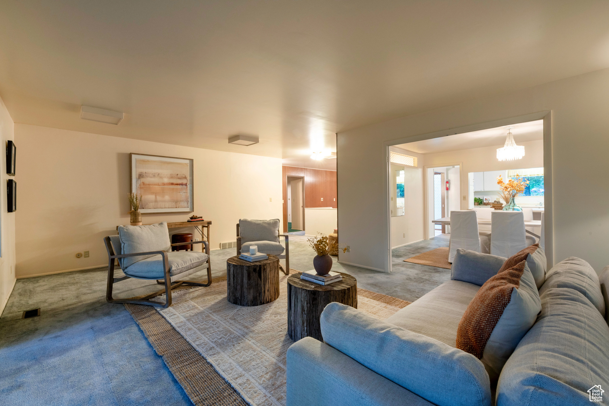 DOUGLAS PARK - Residential