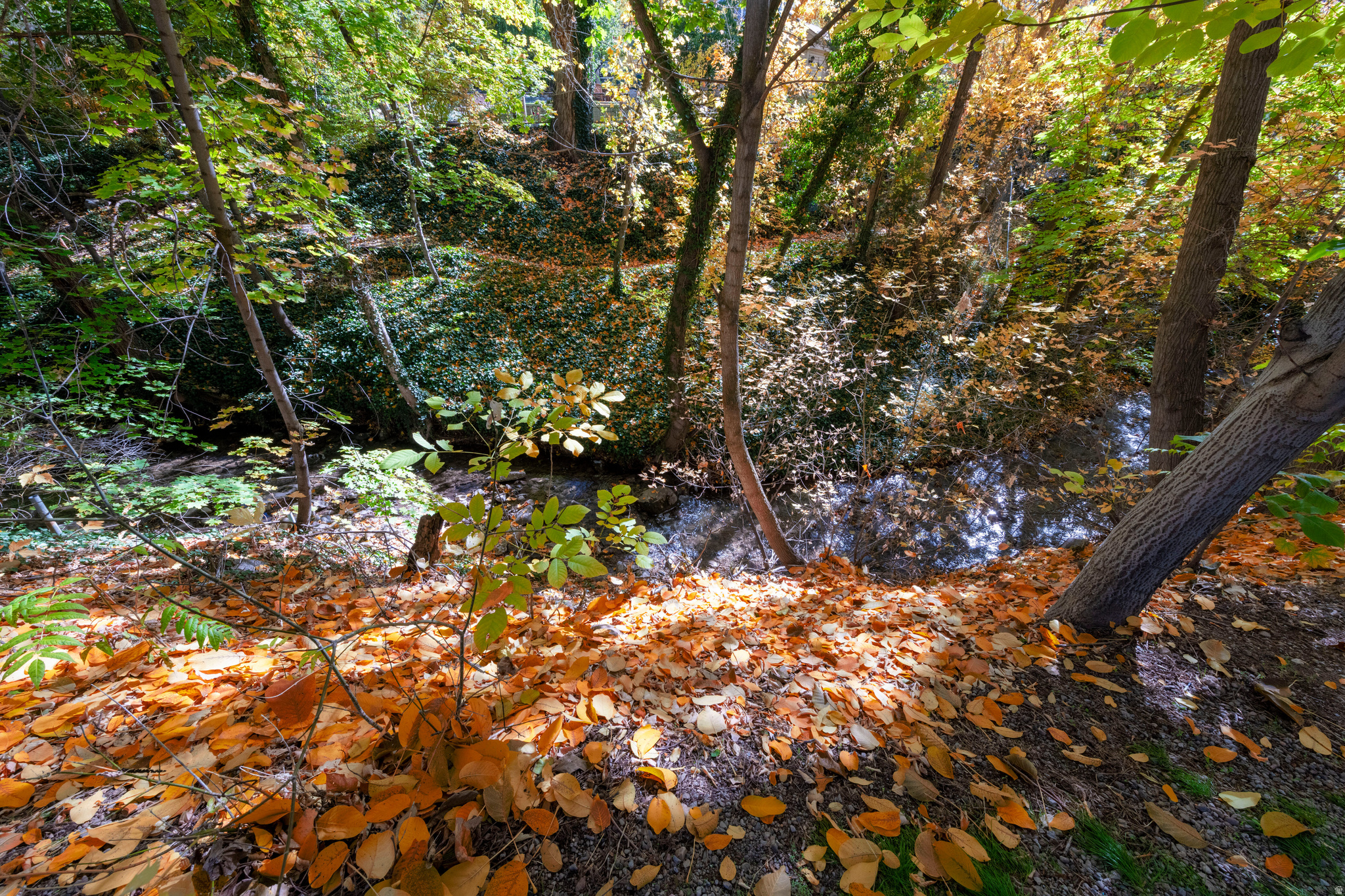 DOUGLAS PARK - Residential