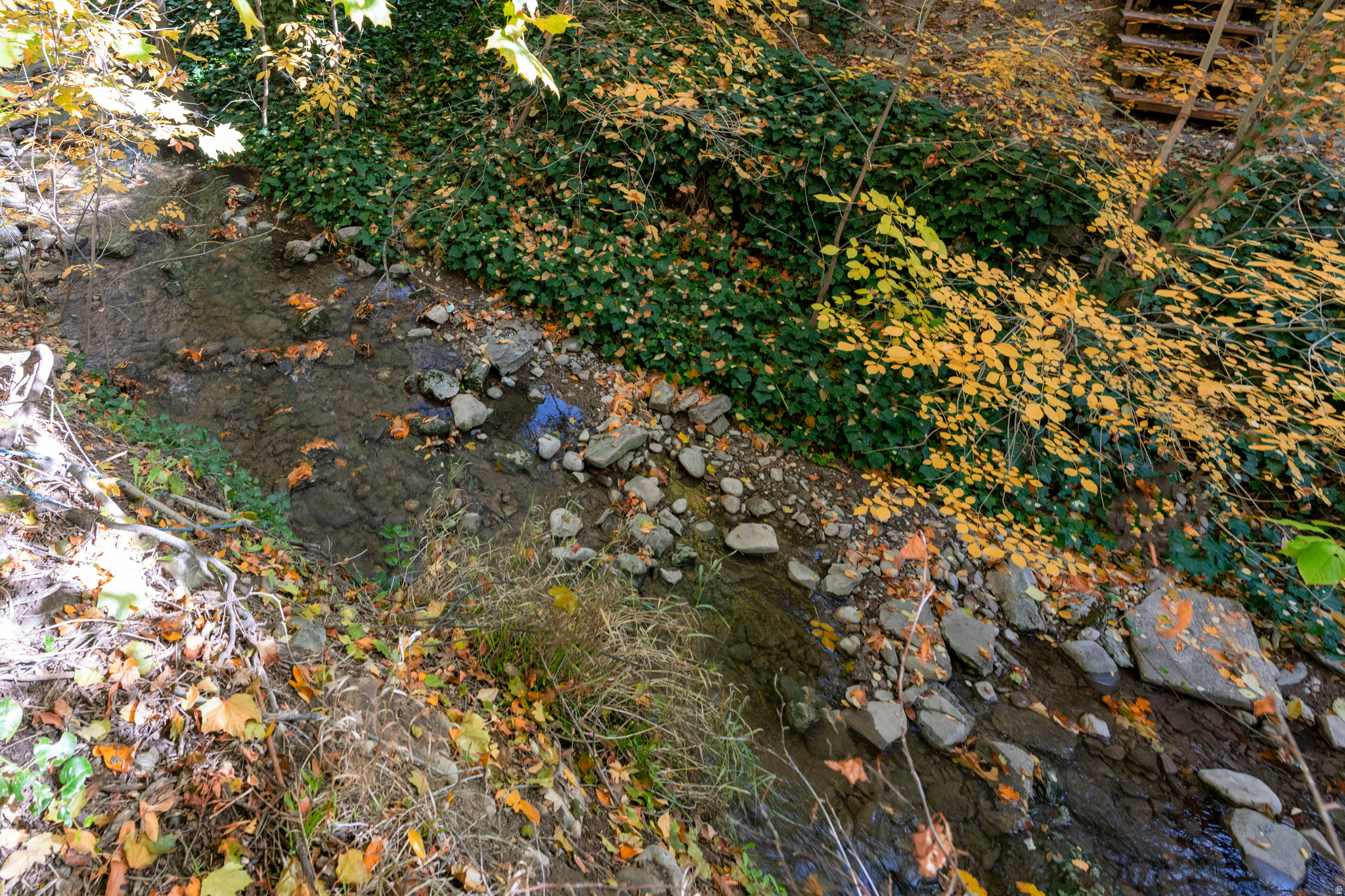 DOUGLAS PARK - Residential