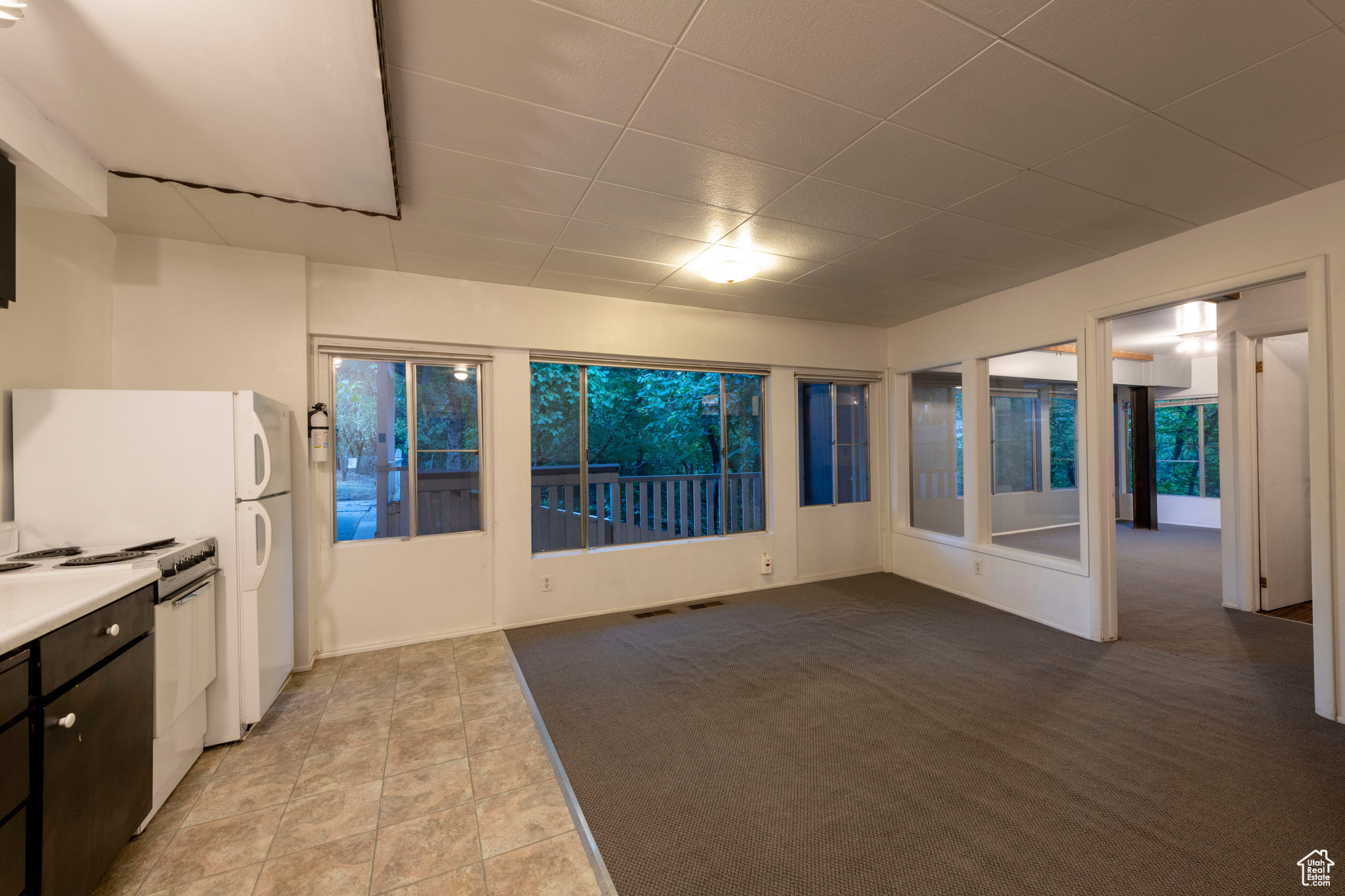 DOUGLAS PARK - Residential