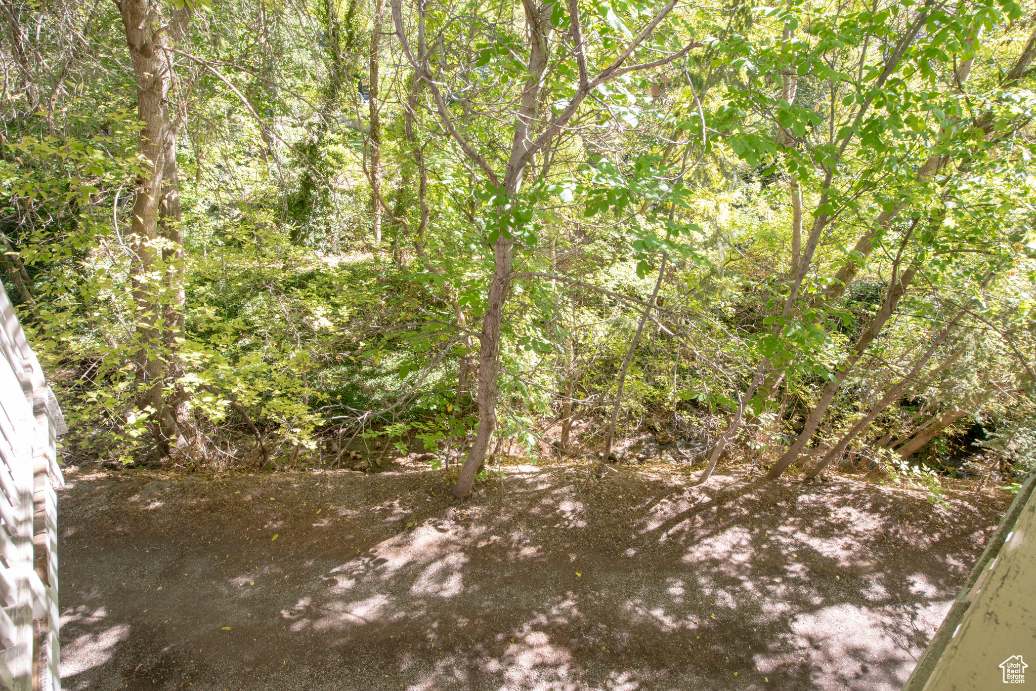 DOUGLAS PARK - Residential