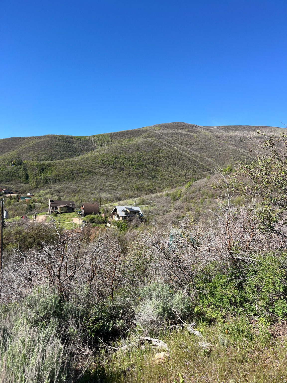 SWISS MOUNTAIN ESTATES - Land