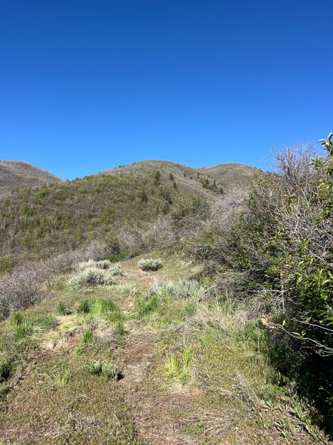 Tiny photo for 1391 W LUCERNE DR #41, Midway, UT 84049 (MLS # 2157372)