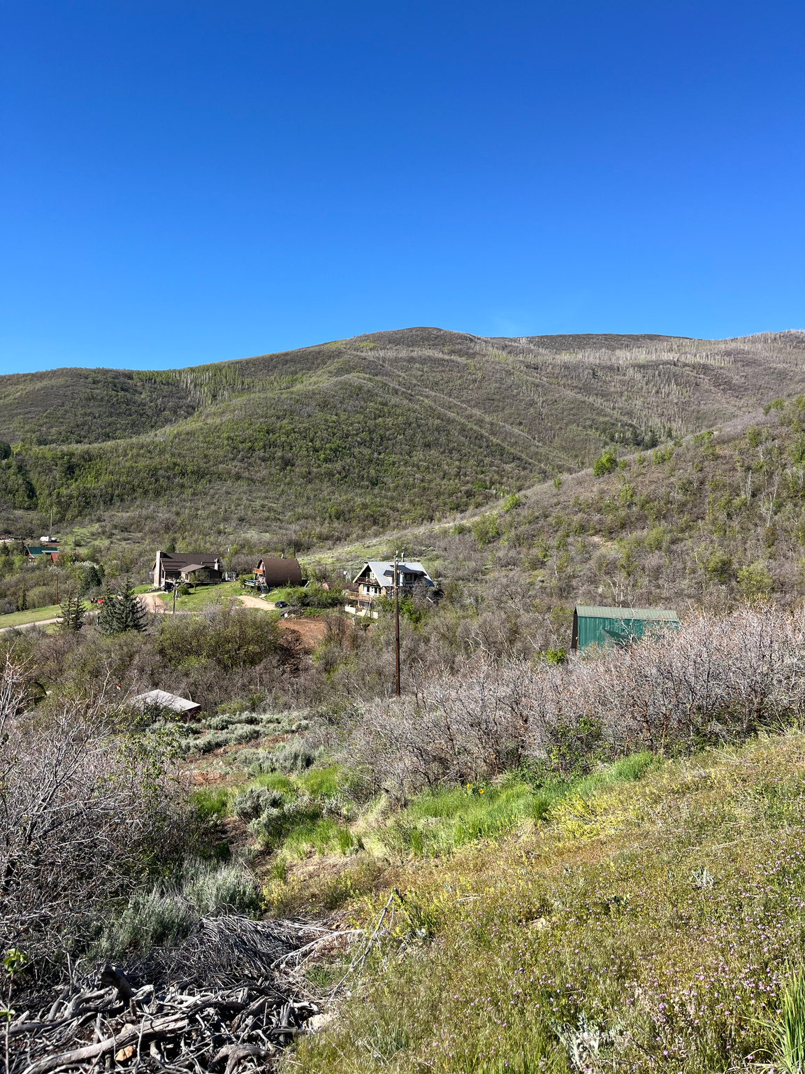 SWISS MOUNTAIN ESTATES - Land