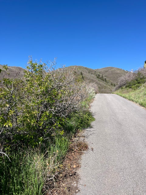 Tiny photo for 1391 W LUCERNE DR #41, Midway, UT 84049 (MLS # 2157372)