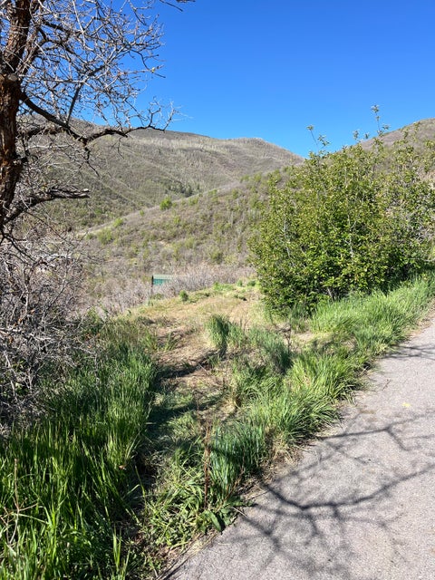 Tiny photo for 1391 W LUCERNE DR #41, Midway, UT 84049 (MLS # 2157372)
