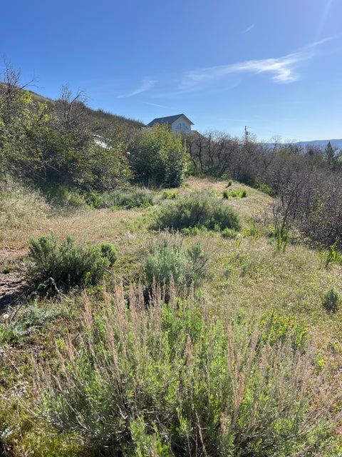Tiny photo for 1391 W LUCERNE DR #41, Midway, UT 84049 (MLS # 2157372)