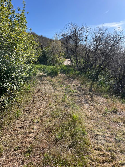 Tiny photo for 1391 W LUCERNE DR #41, Midway, UT 84049 (MLS # 2157372)
