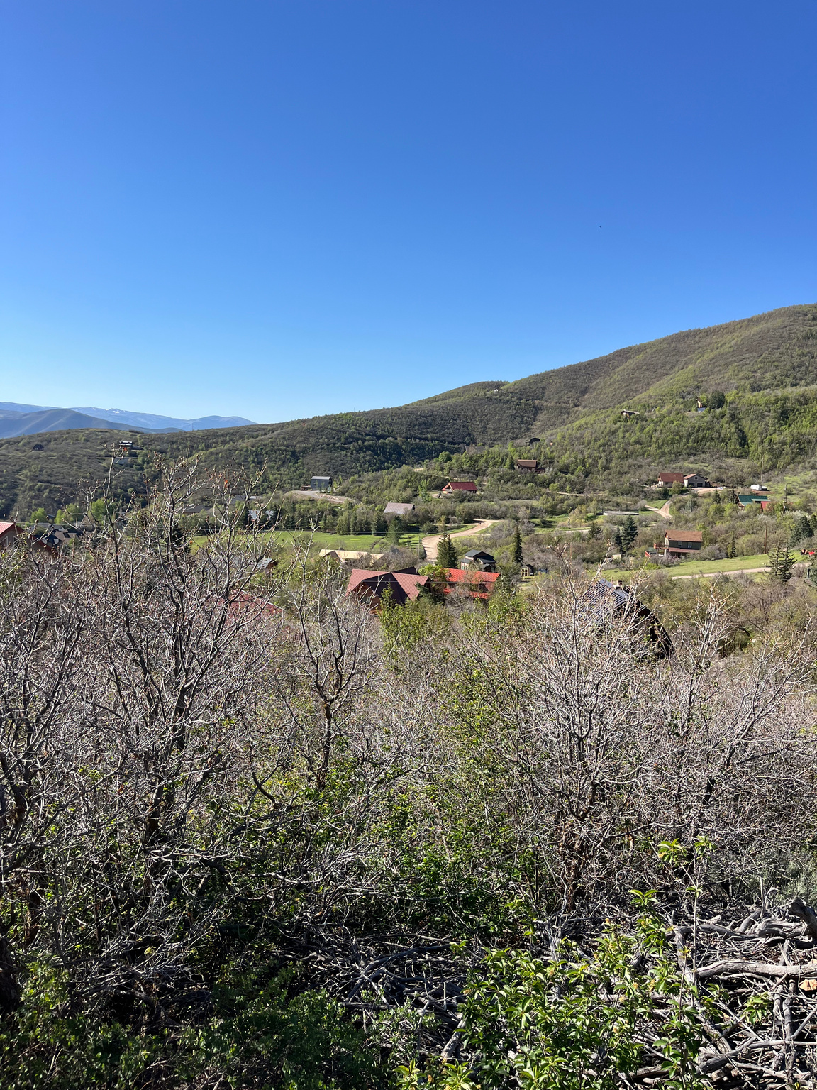 SWISS MOUNTAIN ESTATES - Land