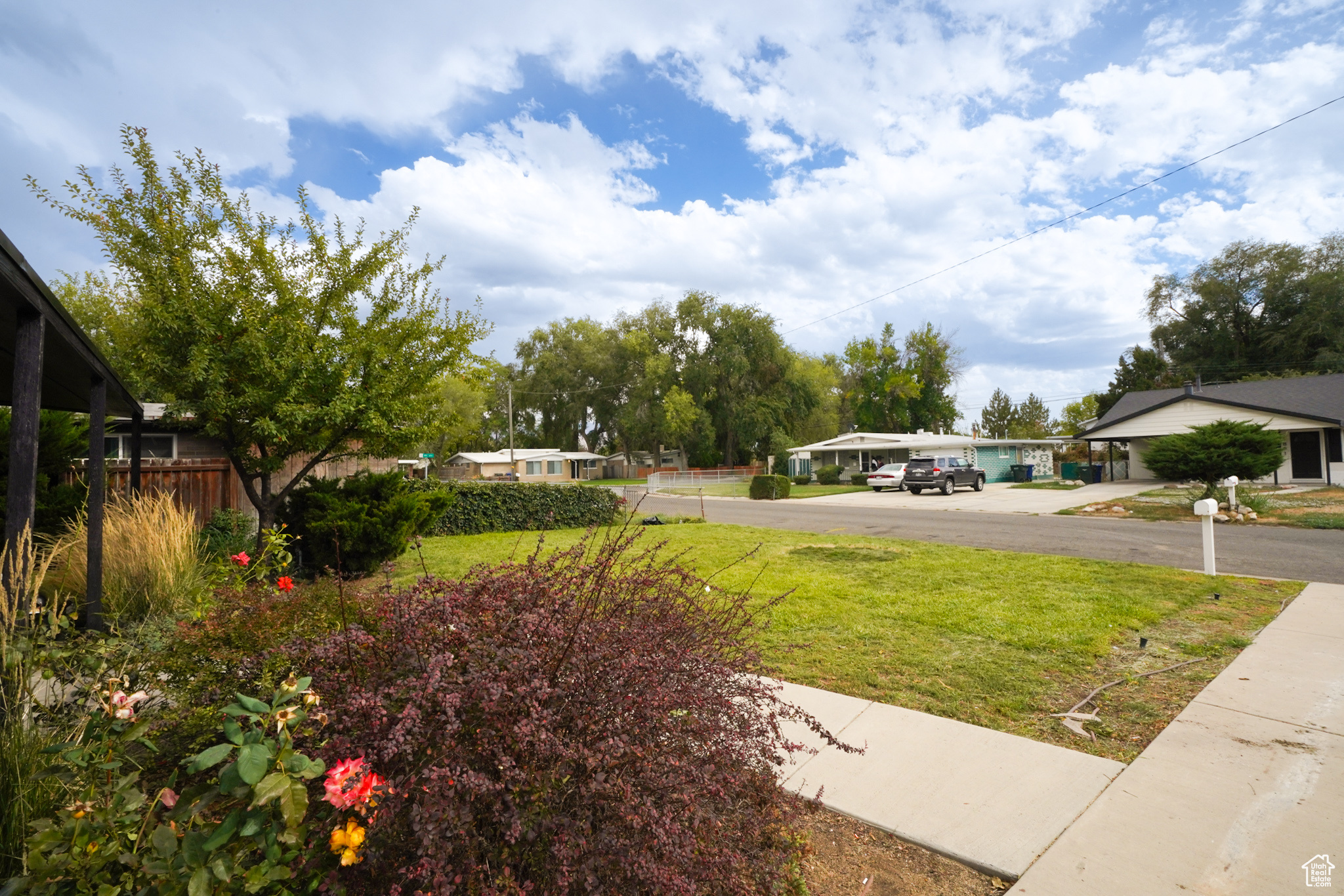 REDWOOD VILL - Residential