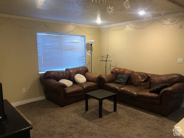 1541 N Riverside Ave #14, Provo, Utah image 2