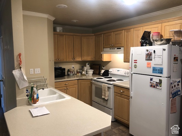 1541 N Riverside Ave #14, Provo, Utah image 4