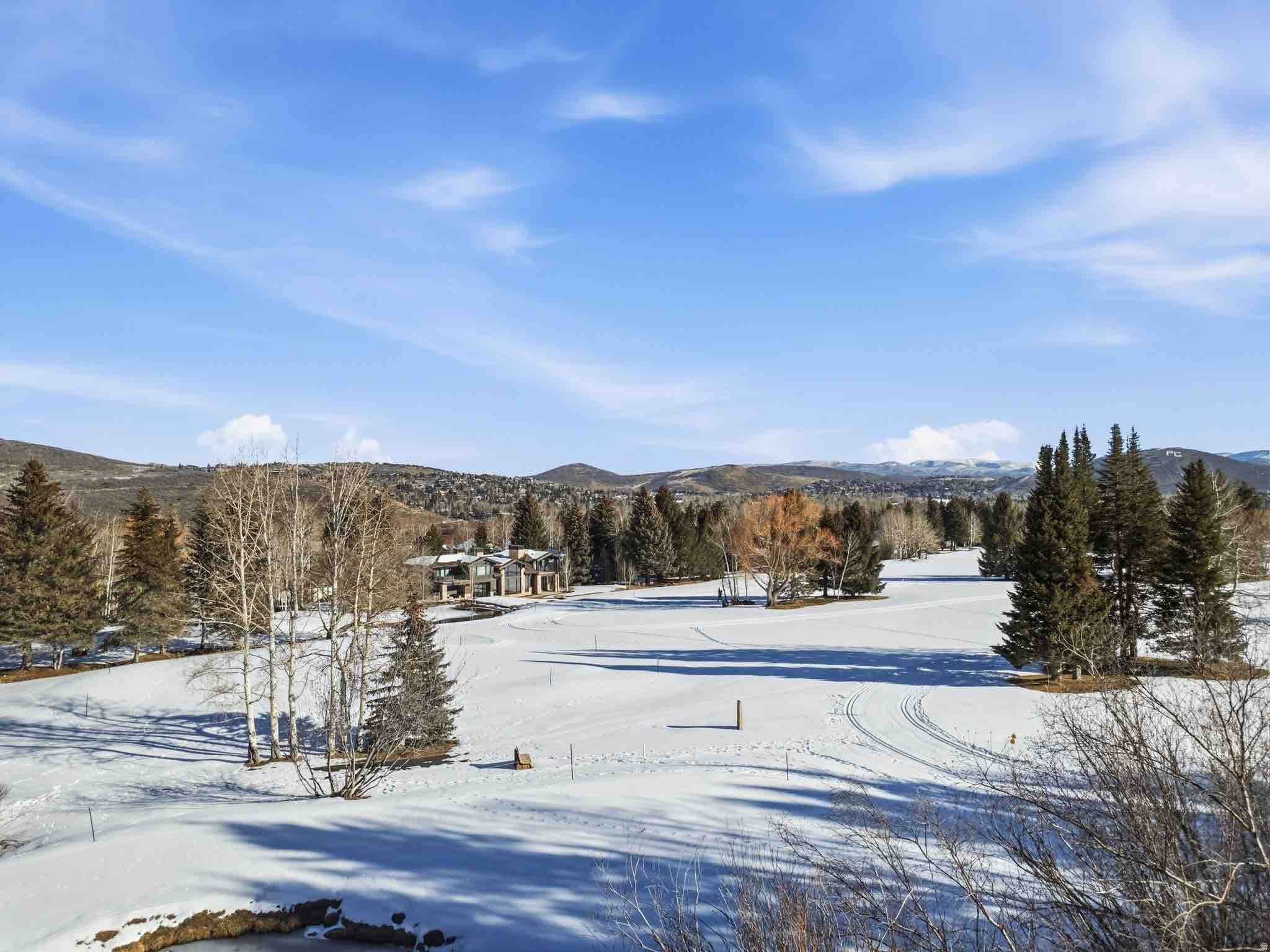 THAYNES CANYON SUBDIVISION - Residential