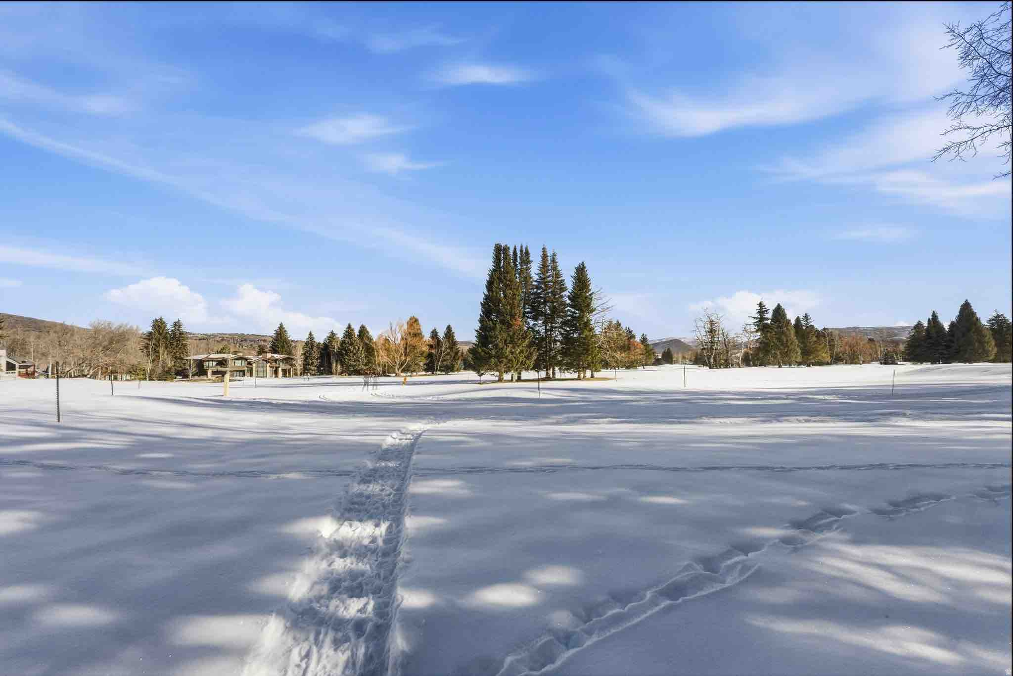 THAYNES CANYON SUBDIVISION - Residential