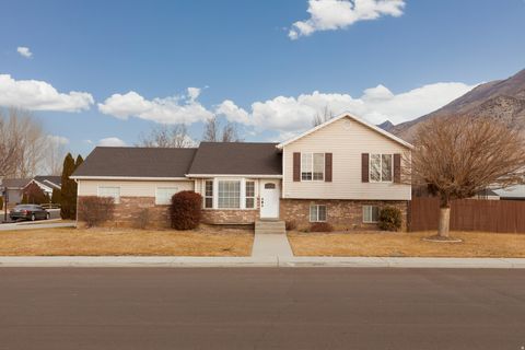 Photo of 446 W 1420 N, Pleasant Grove, UT 84062 (MLS # 2133791)