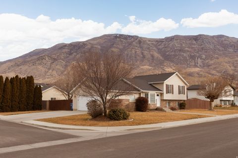 Tiny photo for 446 W 1420 N, Pleasant Grove, UT 84062 (MLS # 2133791)
