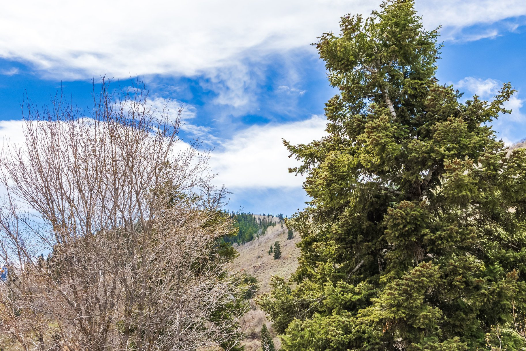PARK CITY - Residential