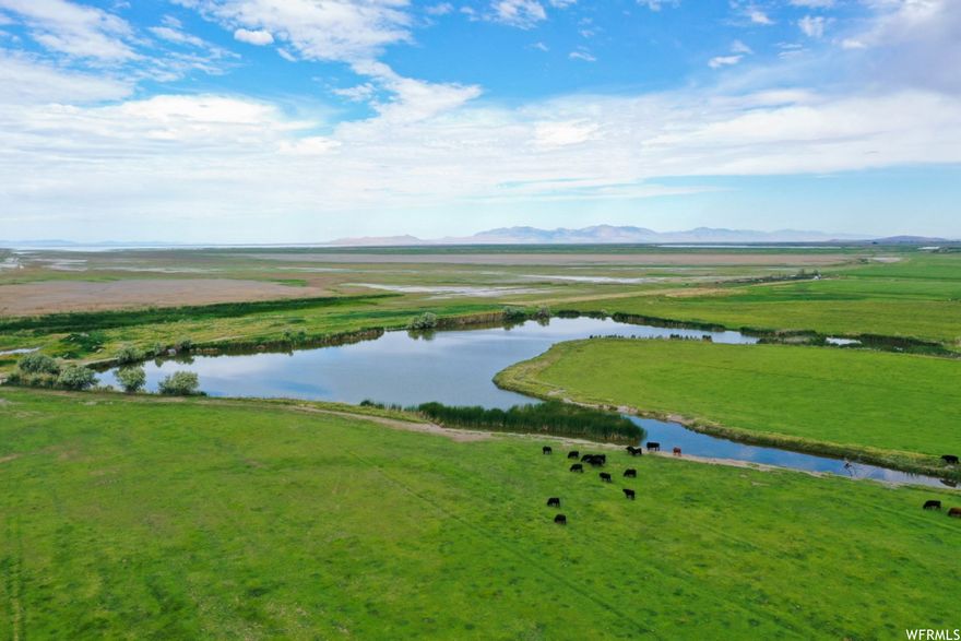 The state of Utah granted 700 Acres of Grazing Rights.  Total Acreage. 190 + - water shares 14 Hooper Irrigation Co. 2 Artesian Wells. 5 GPM  8 Parcels Total.  Also For Sale all equipment and Hay, Price TBD.   Note: Buyers verify all the information.