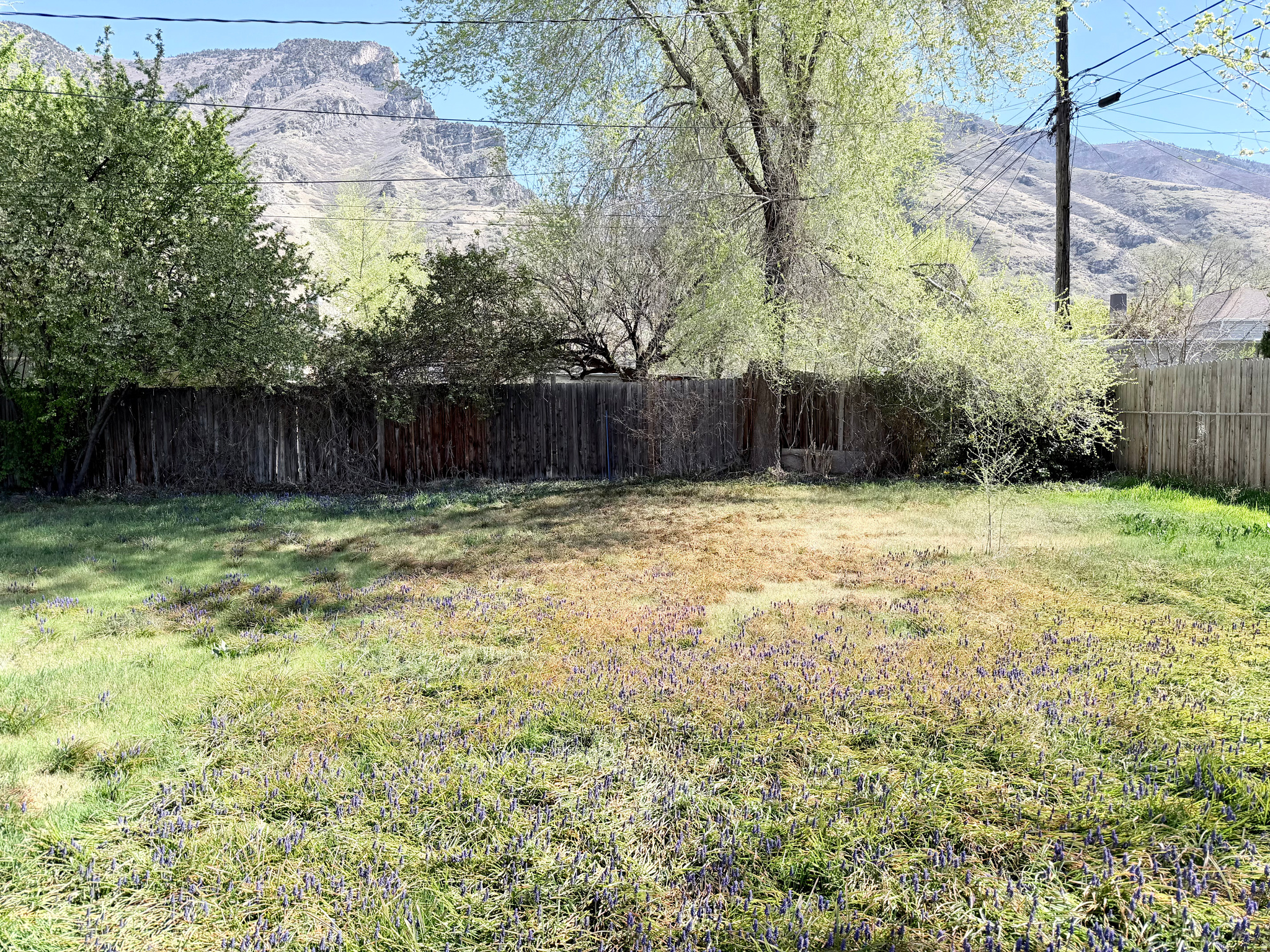 WASATCH GARDEN - Residential