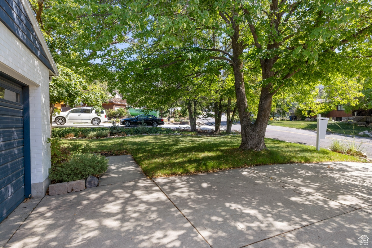 MT. OLYMPUS ACRES - Residential